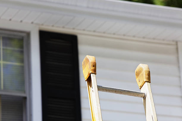 Affordable Siding Repair and Maintenance Services in Woodstock, IL